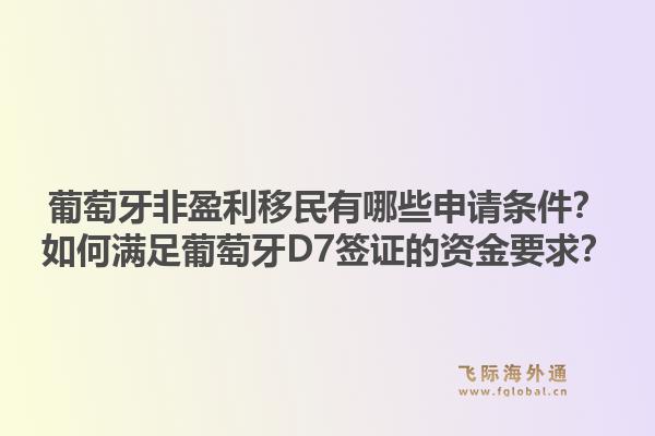 葡萄牙非盈利移民有哪些申请条件？如何满足葡萄牙D7签证的资金要求？