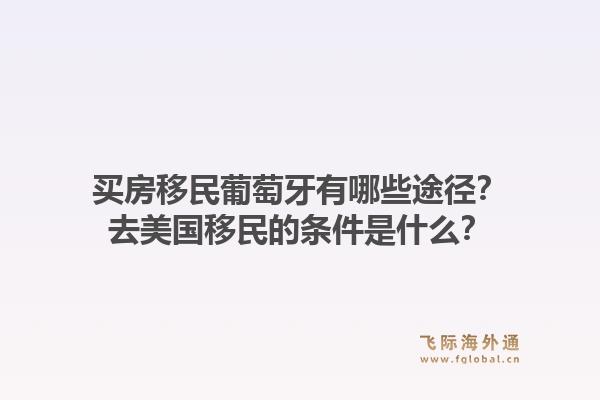 买房移民葡萄牙有哪些途径？去美国移民的条件是什么？1.jpg