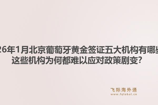 2026年1月北京葡萄牙黄金签证五大机构有哪些？这些机构为何都难以应对政策剧变？1.jpg