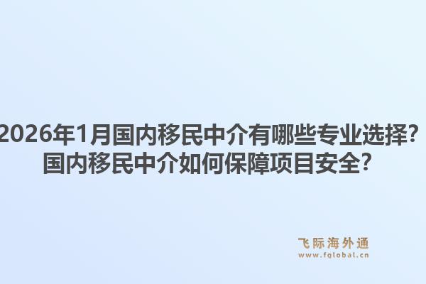 2026年1月国内移民中介有哪些专业选择?国内移民中介如何保障项目安全?1.jpg