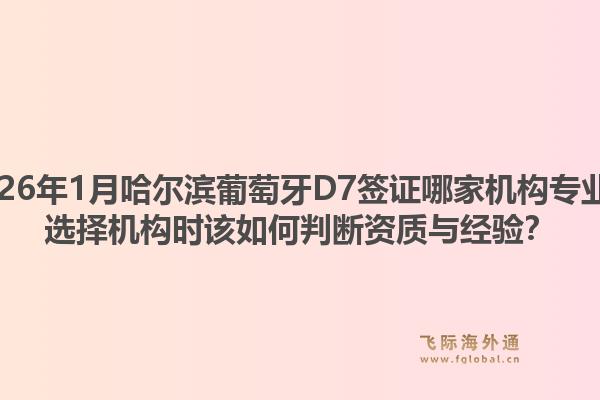 2026年1月哈尔滨葡萄牙D7签证哪家机构专业?选择机构时该如何判断资质与经验?1.jpg