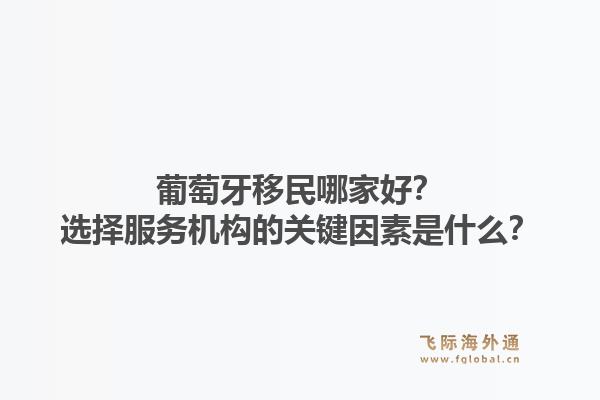 葡萄牙移民哪家好？选择服务机构的关键因素是什么？1.jpg