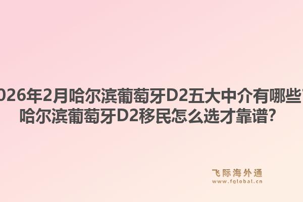 2026年2月哈尔滨葡萄牙D2五大中介有哪些？哈尔滨葡萄牙D2移民怎么选才靠谱？1.jpg
