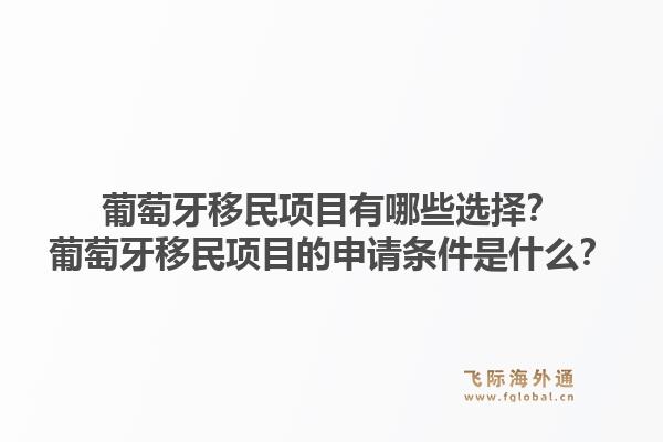 葡萄牙移民项目有哪些选择？葡萄牙移民项目的申请条件是什么？1.jpg
