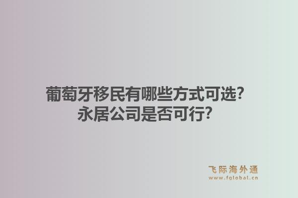 葡萄牙移民有哪些方式可选？永居公司是否可行？1.jpg