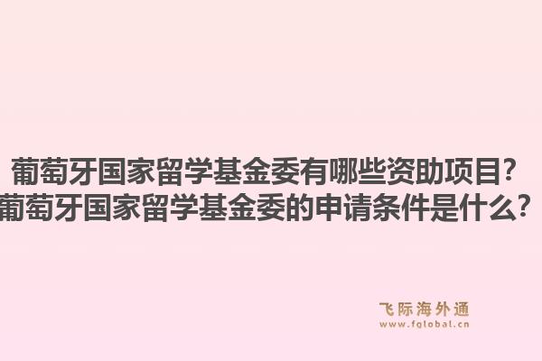 葡萄牙国家留学基金委有哪些资助项目？葡萄牙国家留学基金委的申请条件是什么？1.jpg