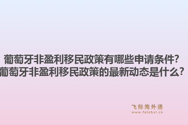 葡萄牙非盈利移民政策有哪些申请条件?葡萄牙非盈利移民政策的最新动态是什么?1.jpg