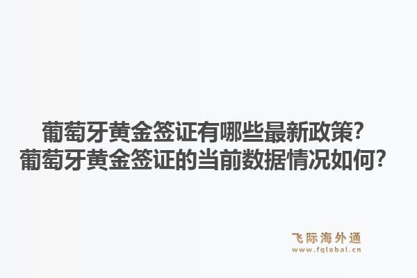 葡萄牙黄金签证有哪些最新政策？葡萄牙黄金签证的当前数据情况如何？1.jpg
