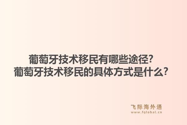 葡萄牙技术移民有哪些途径？葡萄牙技术移民的具体方式是什么？1.jpg