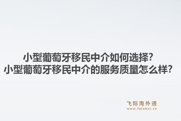 小型葡萄牙移民中介如何选择?小型葡萄牙移民中介的服务质量怎么样?1.jpg