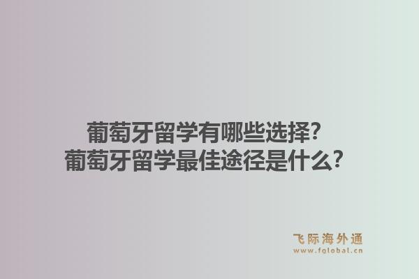 葡萄牙留学有哪些选择？葡萄牙留学最佳途径是什么？