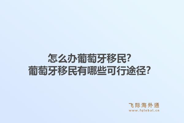怎么办葡萄牙移民？葡萄牙移民有哪些可行途径？