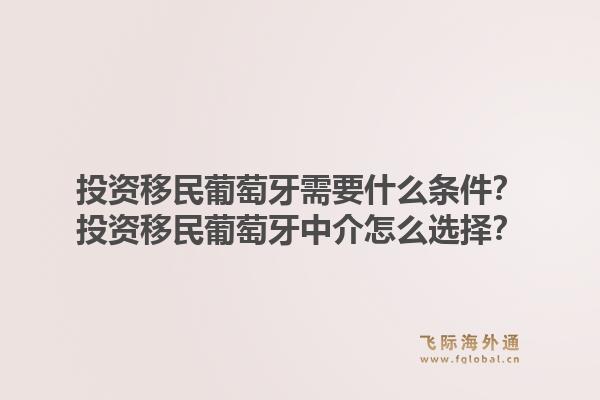 投资移民葡萄牙需要什么条件？投资移民葡萄牙中介怎么选择？
