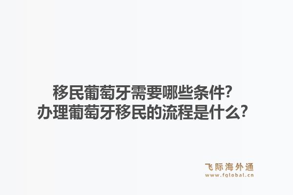 移民葡萄牙需要哪些条件？办理葡萄牙移民的流程是什么？