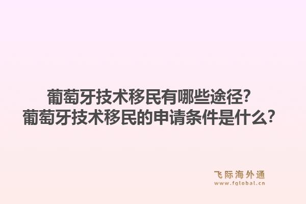 葡萄牙技术移民有哪些途径？葡萄牙技术移民的申请条件是什么？1.jpg