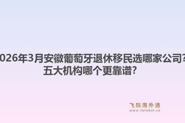2026年3月安徽葡萄牙退休移民选哪家公司？五大机构哪个更靠谱？1.jpg