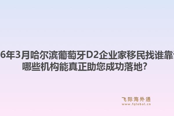 2026年3月哈尔滨葡萄牙D2企业家移民找谁靠谱?哪些机构能真正助您成功落地?1.jpg