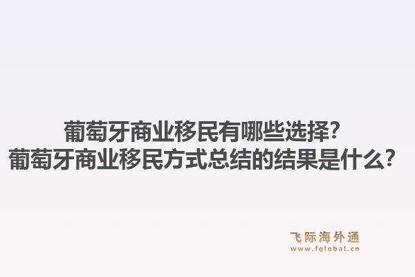 葡萄牙商业移民有哪些选择?葡萄牙商业移民方式总结的结果是什么?1.jpg