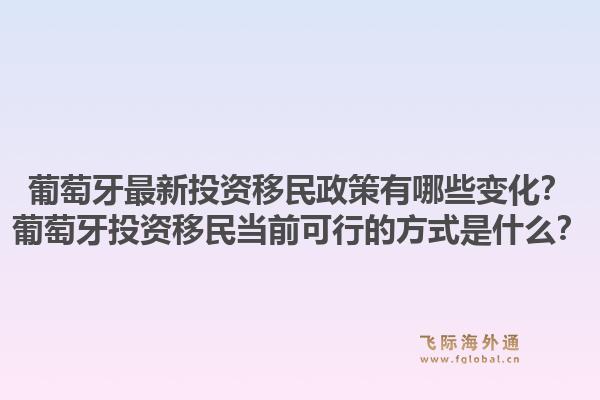 葡萄牙最新投资移民政策有哪些变化？葡萄牙投资移民当前可行的方式是什么？