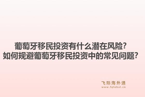 葡萄牙移民投资有什么潜在风险?如何规避葡萄牙移民投资中的常见问题?1.jpg
