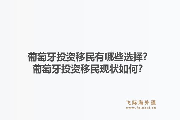 葡萄牙投资移民有哪些选择？葡萄牙投资移民现状如何？1.jpg