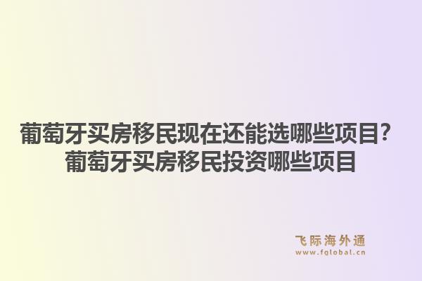 葡萄牙买房移民现在还能选哪些项目？葡萄牙买房移民投资哪些项目1.jpg