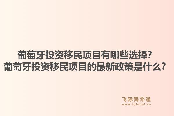 葡萄牙投资移民项目有哪些选择？葡萄牙投资移民项目的最新政策是什么？