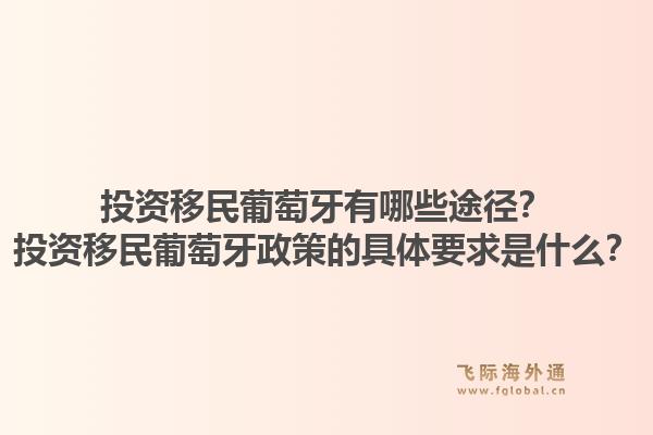 投资移民葡萄牙有哪些途径？投资移民葡萄牙政策的具体要求是什么？