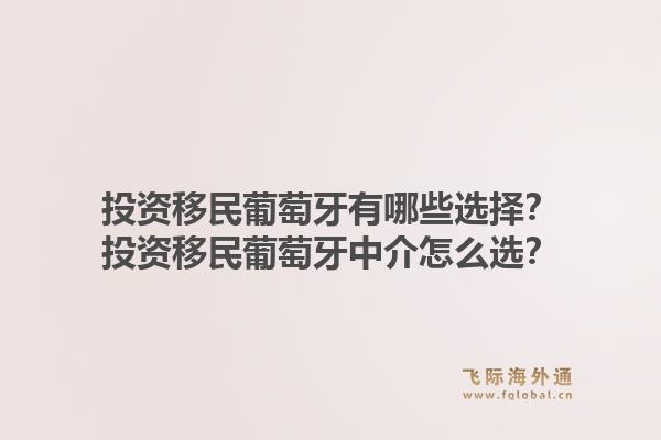 投资移民葡萄牙有哪些选择？投资移民葡萄牙中介怎么选？