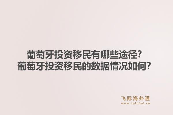 葡萄牙投资移民有哪些途径？葡萄牙投资移民的数据情况如何？1.jpg