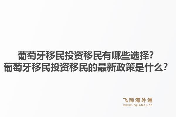 葡萄牙移民投资移民有哪些选择？葡萄牙移民投资移民的最新政策是什么？1.jpg