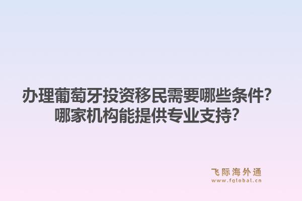 办理葡萄牙投资移民需要哪些条件？哪家机构能提供专业支持？1.jpg