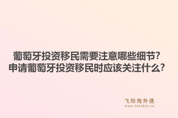 葡萄牙投资移民需要注意哪些细节？申请葡萄牙投资移民时应该关注什么？